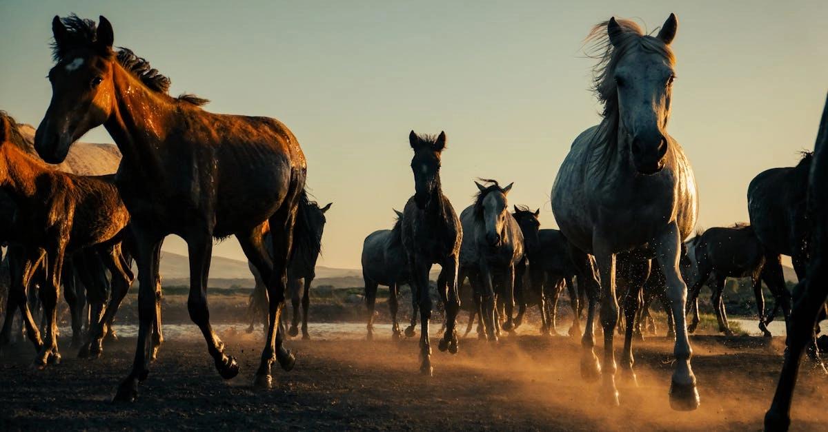 Философский анализ игровых автоматов как метафоры жизненного пути