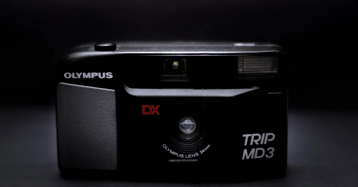 Цифровая мифология и поиск смысла в виртуальных мирах